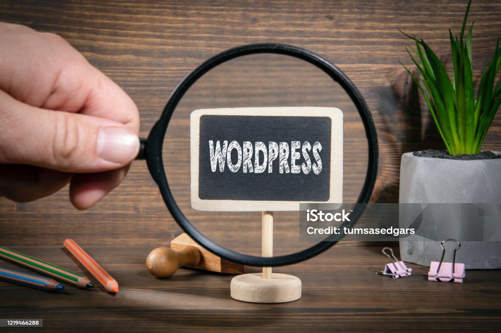 Extrait vidéo WordPress et SEO local